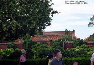 Pekin Jingshan 51